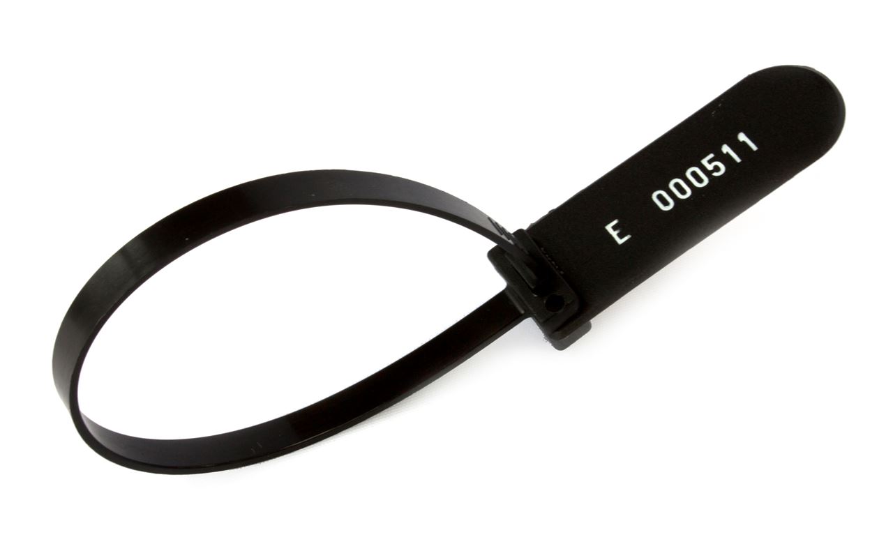 Ring security contact best sale number