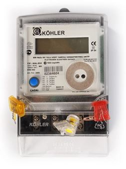 Picture of Twister Security Meter Seal