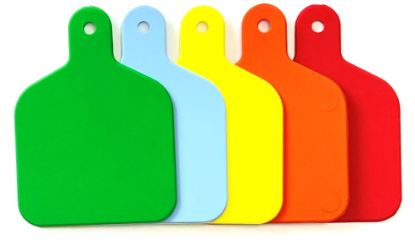 Picture of InspectaFlag - Periodic Inspection Tags