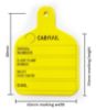 Picture of InspectaFlag - Periodic Inspection Tags