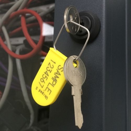 Image of Padlock Seals